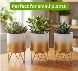 Pot de fleurs en métal avec support doré, style moderne, ensemble de jardinières pour plantes d'intérieur et d'extérieur, décoration de la maison pour jardin, plantes, fleurs, balcon, lot de 1 - Product Image 2