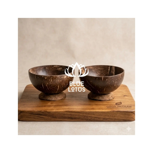 BEST SELLER Bol de service en coquille de noix de coco, finition lisse, écologique, pour servir des collations et présenter des desserts, vaisselle réutilisable - Product Image 1
