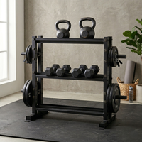 Support à haltères moderne en fonte métallique, durable et stable, à 3 niveaux, pour le rangement d'équipements de salle de sport commerciale, état impeccable