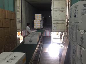 Papel de Arroz OEM con Buen Precio al por Mayor desde Vietnam, Exportación de Papel de Arroz para Rollitos Primavera con Buen Precio WA +84 386142897 - Product Image 5