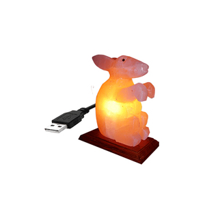 Top Selling USB <b>Mini</b> Himalayan Natural Shape Salt Lamp Eco-Friendly Carved Feng Shui Style Holiday Decoration Gift Pink High - Product Image 4