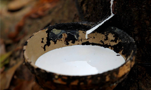 Premium HA Latex <b>Rubber</b> Engineered for Strength Designed for Excellence - Product Image 2