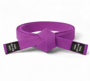 Cinturones de Jiu Jitsu, Judo, BJJ, Taekwondo y Karate al por Mayor, Todos los Colores, Cinturones de Artes Marciales, Cinturones BJJ de Primera Calidad - Product Image 3