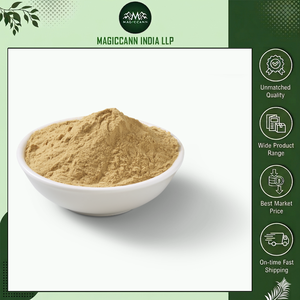 Poudre d'extrait de champignon de qualité alimentaire naturelle, haute puissance, complément de soutien immunitaire, bienfaits à base de plantes, soins quotidiens pour la santé et le bien-être - Product Image 6