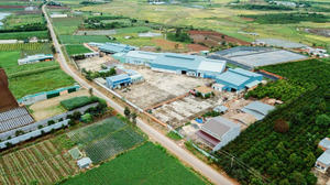 Venta al por mayor de granos de café verde Robusta de Vietnam, calibre 18, alto en cafeína, café crudo, carga a granel en contenedor, suministro para exportación - Product Image 6