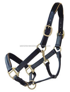 Licol de cheval en cuir, qualité supérieure, professionnel - Product Image 4