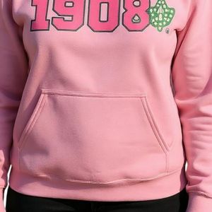 Sudadera con Capucha AKA Light Pink 1908 Ivy, Sudadera de Forro Polar con Gráficos en Verde y Rosa, Unisex, Ropa de Hermandad Griega, OEM ODM - Product Image 6