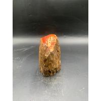 Tronc de bois pétrifié naturel et rouge pour la décoration de la maison avec dessus poli et côtés naturels