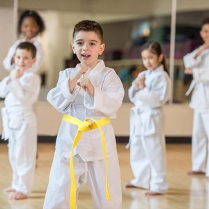 Ceinture de Karaté Premium Personnalisée pour Enfants, Ceinture de Maître de Judo, Ceinture d'Arts Martiaux, Fabricant OEM - Product Image 3