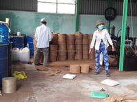 Rouleaux de tapis en fibre de coco écologiques, feuilles de culture naturelles en coco, coussinets en coco pour micro-légumes