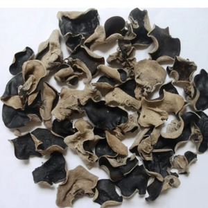 Hongos Negros Secos Enteros Crudos Cultivados de Color Natural // Ms. Reina// 2026 - Product Image 5