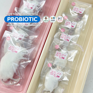 Ratones Congelados para Alimentación de Mascotas XS (3-4g) – Envasados Individualmente |   Enriquecido con Probióticos - Product Image 1