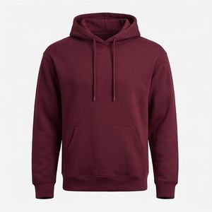 Sudadera con Capucha Premium de Invierno, Gruesa, Lisa, Teñida, 100% Algodón, Personalizada para Hombre, Ropa Urbana, Logotipo OEM, Transpirable - Product Image 1