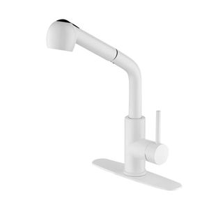 Rubinetto da Cucina Monocomando con Doccetta Estraibile in Acciaio Inossidabile - Product Image 1