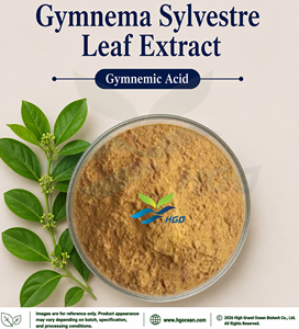 HGO Fournisseur direct d'usine d'extrait de feuilles de Gymnema Sylvestre pur et naturel, qualité alimentaire, acide gymnémique 25% - 75% extrait standardisé - Product Image 1