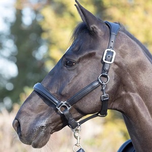 Licol de polo traditionnel argentin de haute qualité, cousu main en nylon/cuir, avec fil ciré et quincaillerie en laiton robuste réglable - Product Image 5