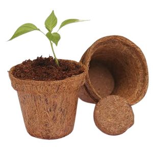 Pot en fibre de coco écologique de haute qualité Blue Lotus, biodégradable, respectueux des racines, conteneur de pépinière, trou de drainage, extérieur - Product Image 1