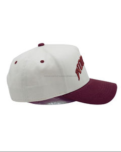 Gorra de Béisbol Econex Sports de 5 Paneles, Personalizada, de Alta Calidad, Estilo Vintage, Logotipo Personalizado, Bordado 3D, Transpirable, Impermeable, OEM - Product Image 6