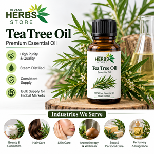 Huile essentielle d'arbre à thé de haute qualité, 100% pure, distillée à la vapeur, aromathérapie, soins personnels, cosmétiques, applications commerciales - Product Image 1