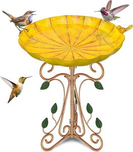 Bain d'oiseaux en fer durable et personnalisable au design vintage pour la décoration de jardin extérieur et l'alimentation des oiseaux au quotidien - Product Image 5