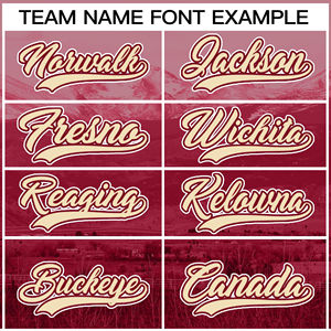 Nuevas Camisetas de Béisbol Warrior Cosidas en Blanco del Fabricante OEM, Camisetas de Béisbol de Malla Sublimadas de Alta Calidad - Product Image 3