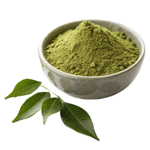 Polvo de Hojas de Curry Natural (Murraya Koenigii), Polvo Herbal para Cocinar, Crecimiento del Cabello y Salud del Cuero Cabelludo, Rico en Hierro y Antioxidantes - Product Image 1