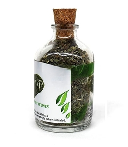 Feuilles et tiges de catnip 100 % naturelles et biologiques, complément à base de plantes séchées, soutien immunitaire longue durée, soulagement du stress et amélioration du comportement des chats - Product Image 2