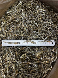 Anchoas Secas al por Mayor de Primera Calidad para Exportación - Product Image 5