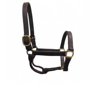 Cuir indien de haute qualité Sports de plein air équitation licous cuir cheval licou - Product Image 1