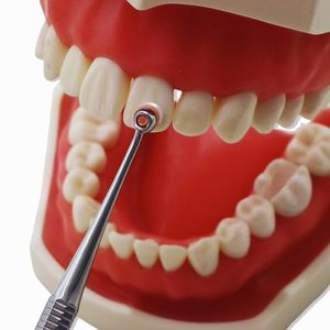 Premium Dental Composite Resin <b>Modeling</b> Instrument Kit | Stainless Steel Handle with <b>Foam</b> Sculpt Pads (Large/Small) Restorative - Product Image 2