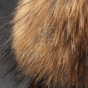 Bonnet d'hiver personnalisé pour femmes et filles avec motif et pompon en fausse fourrure - Product Image 3