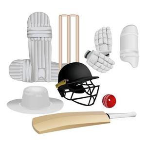 Kit Completo de Equipo de Protección de Cricket para Hombres y Niños con Guantes de Bateo, Protectores de Piernas, Casco, Protector de Muslos y Protector de Brazos - Product Image 6