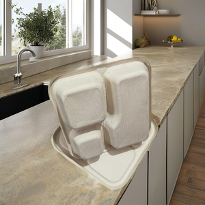 ถาดอาหารแบกาสส์แบบสามช่อง 750 มล. เป็นมิตรกับสิ่งแวดล้อม ย่อยสลายได้ พร้อมฝาปิด สำหรับเด็ก - Product Image 1