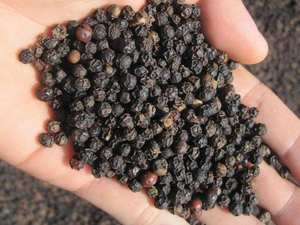 High Quality Vietnamese Black <b>Pepper</b> Dried Herb in Bulk Customized Packaging - Product Image 5
