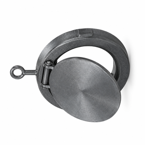 Vanne de retenue compacte à joint torique en fonte SG de 2 pouces de haute qualité PN16 en fonte ductile - Product Image 4