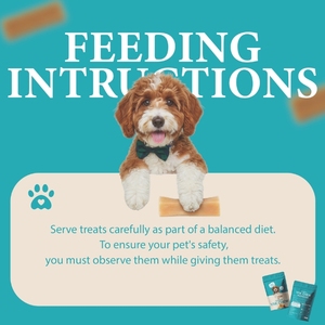 Friandises pour chiens au fromage de yak de l'Himalaya, les plus vendues, biologiques, faites à la main, irrégulières, dures, en forme de churpi, aliments naturels pour animaux de compagnie, fournisseur OEM - Product Image 4