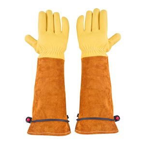 Guanti da Giardinaggio Antispina e Antiperforazione con Polsino Elastico, Manica Lunga, per Potatura Rose, Taglia XS, Spessore Medio, Materiale PE - Product Image 1
