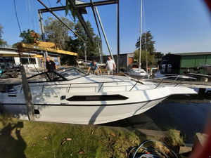 R-e-g-a-l A-m-b-a-s-s-a-d-o-r 233x-x-l - Product Image 2