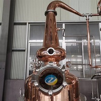 Machine distiller moonshin équipe usine d'éthanol petite usine d'éthanol