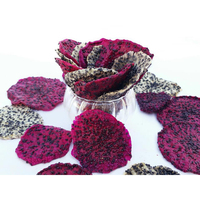 Premium Tropisch & Subtropisch Fruit Natuurlijke Smaak Gedroogde Gesneden Dragon Fruit Originele Smaak 25kg Bulk Vacuümverpakking