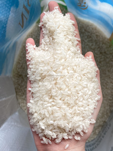 VILACONIC Fresco Vietnam Calrose Camolino Japonica Arroz de Grano Corto Egipcio/Medio Riz Arroz Riso Variedad De Vietnam - Product Image 3