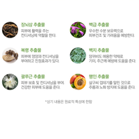 Ensemble de soins de la peau éclaircissant et raffermissant coréen à base d'acide hyaluronique et de peptides JAHWANGSU Seolbaek, 6 pièces, adénosine, pour adultes