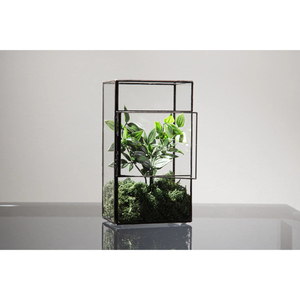 Terrario de cristal antiguo con marco negro, maceta para suculentas, contenedor decorativo para plantas de interior, para exhibir en el hogar, la oficina o el escritorio. - Product Image 1