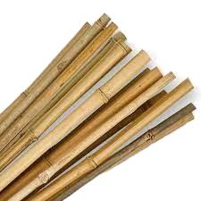 Bastón de bambú de alta calidad Material de bambú natural ecológico al por mayor de Vietnam Exportación directa de fábrica - Product Image 5