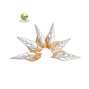 Conchas Marinas Naturales Decorativas al por Mayor, Piezas de Conchas Oceánicas para Manualidades, Joyería y Decoración del Hogar - Product Image 3