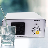 1000mg/h Koronaentladungs-Ozongenerator 1g/h Einstellbare Ozonmaschine zur Wasseraufbereitung & Luftreinigung