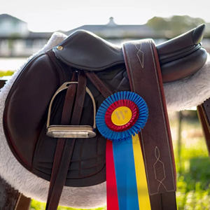 สายรัดอานม้าหนังแท้แบบคลาสสิค พร้อมหัวเข็มขัดสแตนเลส - Product Image 3