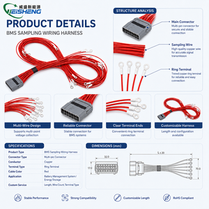 Aangepaste bekabeling voor elektrische voertuigen, batterij BMS-signaalkabel, OEM ODM - Product Image 3