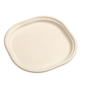 Assiettes carrées compostables en bagasse de 7 pouces de qualité supérieure |   Barquette jetable biodégradable en canne à sucre 1D |   Assiette à nourriture pour fête écologique - Product Image 3