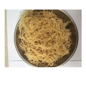 สาหร่ายทะเลคอตตอนนีจากเวียดนาม วัตถุดิบสาหร่ายทะเลสำหรับอุตสาหกรรมอาหาร รับผลิตแบบ OEM และขายส่ง - Product Image 6